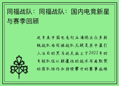 同福战队：同福战队：国内电竞新星与赛季回顾